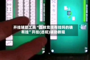 开挂辅助工具“荔枝竞技有挂吗的确有挂”开挂(透视)辅助教程