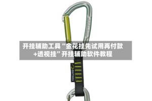 开挂辅助工具“金花挂先试用再付款+透视挂”开挂辅助软件教程