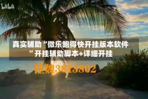 真实辅助“微乐跑得快开挂版本软件”开挂辅助脚本+详细开挂