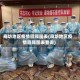 廊坊地区疫情回顾图表(廊坊地区疫情回顾图表查询)