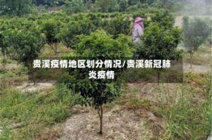 贵溪疫情地区划分情况/贵溪新冠肺炎疫情