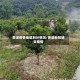 贵溪疫情地区划分情况/贵溪新冠肺炎疫情