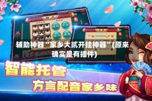 辅助神器“家乡大贰开挂神器”(原来确实是有插件)