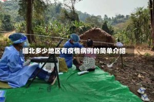 缅北多少地区有疫情病例的简单介绍