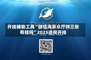 开挂辅助工具“微信海草众厅拼三张有挂吗”2025透视开挂