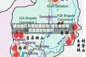 缅北地区疫情发展形势/缅北地区疫情发展形势如何