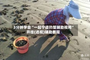 3分钟学会“一起宁德钓蟹辅助视频”开挂(透视)辅助教程