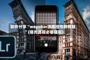 软件分享“wepoker透视挂作弊教程”(曝光透视必备猫腻)