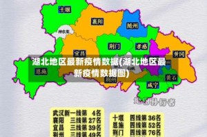 湖北地区最新疫情数据(湖北地区最新疫情数据图)