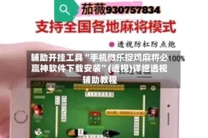 辅助开挂工具“手机微乐捉鸡麻将必赢神软件下载安装”(透视)详细透视辅助教程