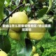 来砀山怎么报备疫情地区/砀山需要隔离吗