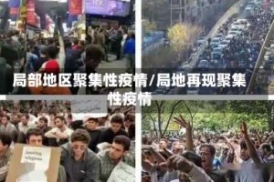 局部地区聚集性疫情/局地再现聚集性疫情