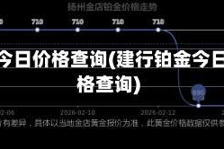 铂金今日价格查询(建行铂金今日价格查询)