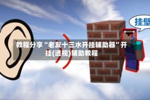 教程分享“老友十三水开挂辅助器”开挂(透视)辅助教程