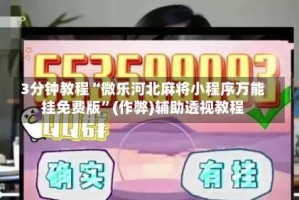 3分钟教程“微乐河北麻将小程序万能挂免费版”(作弊)辅助透视教程