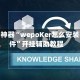 辅助神器“wepoKer怎么安装挂件”开挂辅助教程