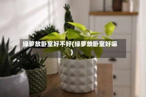 绿萝放卧室好不好(绿萝放卧室好嘛)