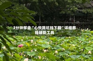 3分钟学会“心悦踢坑挂下载”详细教程辅助工具