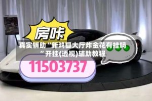 真实辅助“新鸿狐大厅炸金花有挂吗”开挂(透视)辅助教程