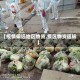 【疫情偏远地区物资,疫区物资运输】