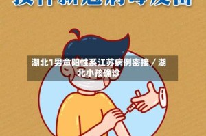 湖北1男童阳性系江苏病例密接／湖北小孩确诊