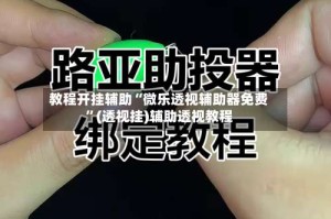 教程开挂辅助“微乐透视辅助器免费”(透视挂)辅助透视教程