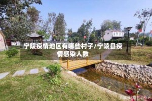 宁陵疫情地区有哪些村子/宁陵县疫情感染人数