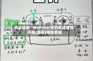 真实辅助“WePoker真的能透视吗”开挂(透视)辅助教程