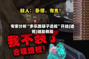 专家分析“多乐跑胡子透视”开挂(透视)辅助教程