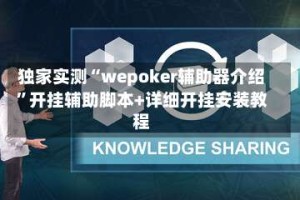 独家实测“wepoker辅助器介绍”开挂辅助脚本+详细开挂安装教程