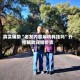 真实辅助“老友内蒙麻将有挂吗”开挂辅助详细步骤