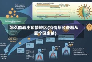 怎么能看出疫情地区(疫情怎么查看从哪个区来的)