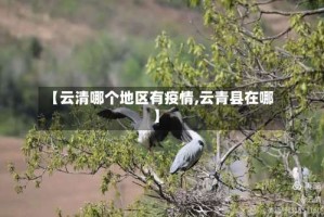 【云清哪个地区有疫情,云青县在哪】