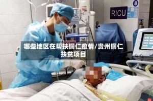 哪些地区在帮扶铜仁疫情/贵州铜仁扶贫项目