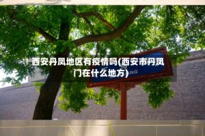 西安丹凤地区有疫情吗(西安市丹凤门在什么地方)