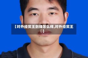 【对外经贸王剑锋怎么样,对外经贸王韡】