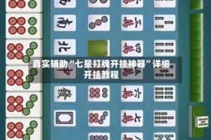 真实辅助“七星打牌开挂神器”详细开挂教程