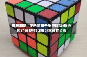 教程辅助“多乐跑胡子免费辅助器(透视)”透视挂!详细分享装挂步骤