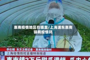 惠南疫情地区在哪里/上海浦东惠南镇有疫情吗
