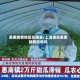 惠南疫情地区在哪里/上海浦东惠南镇有疫情吗