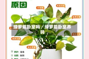 绿萝能卧室吗／绿萝能卧室养吗