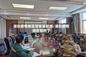 湖北疫情地区暂恢复航线/湖北疫情现在如何了