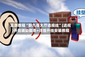 实测教程“新九哥大厅透视挂”(透视)开挂辅助脚本+详细开挂安装教程