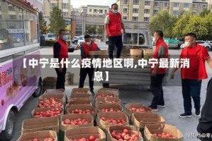【中宁是什么疫情地区啊,中宁最新消息】