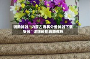 辅助神器“内蒙古麻将外卦神器下载安装”详细透视辅助教程