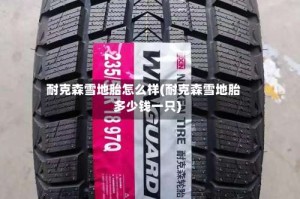 耐克森雪地胎怎么样(耐克森雪地胎多少钱一只)