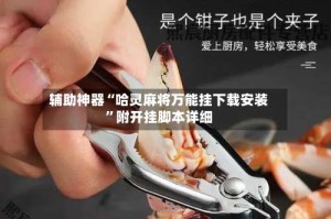 辅助神器“哈灵麻将万能挂下载安装”附开挂脚本详细