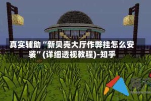 真实辅助“新贝壳大厅作弊挂怎么安装”(详细透视教程)-知乎