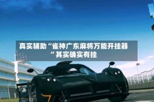 真实辅助“雀神广东麻将万能开挂器”其实确实有挂