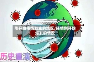 刚开始疫情发生的地区/疫情刚开始爆发的情况